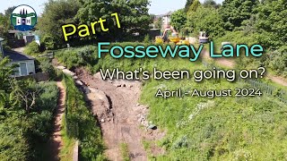 Whats been going on at Fosseway Lane  Part 1 [upl. by Aenet]