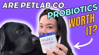 Do PetLab Cos Probiotic Chews Actually Work  Honest Review [upl. by Bender]