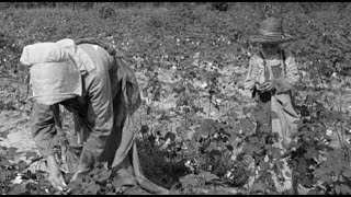 Daily Life As a Sharecropper  Documentary Clip [upl. by Nolava453]