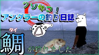 イソメの投げ釣りでタイって釣れんのね…【茨城県磯崎港】 [upl. by Sinned]