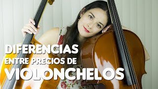 Diferencias entre precios de Violonchelos  Tipos de cellos y costos [upl. by Uria]