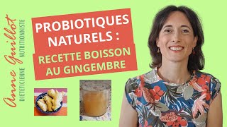 Probiotiques naturels  boisson au gingembre lactofermentée [upl. by Aitel]