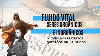 FLUIDO VITAL  SERES ORGÂNICOS E INORGÂNICOS  FÁBIA FERRAZ [upl. by Grange]