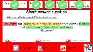 GCSE PE Antagonistic Muscle Action [upl. by Leunad]