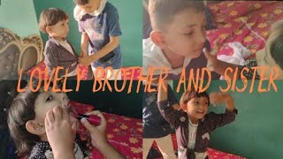 Caring Brother And Sister Bhai Bahan Ka Pyar Shanzaira VlogBonding For Bhai Bahan [upl. by Stiruc682]