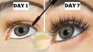 You wont believe Long eyelashes and thick eyebrows from the first week effective 💯 [upl. by Akinet]