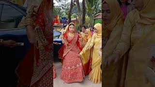 নতুন বউ চলে এসেছেviralvideo viralshort wedding [upl. by Katt309]