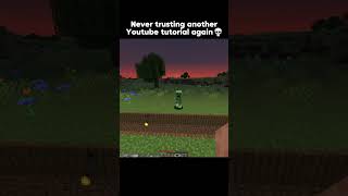 Never again 💀  minecraft minecraftshorts minecraftmemes [upl. by Enortna276]