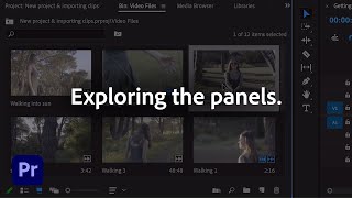 Exploring the Panels workspace  Adobe Premiere Pro [upl. by Repsaj]