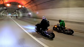 honda zoomer vs zoomer 50cc rolling drag [upl. by Euseibbob793]