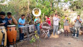 Jinetes en el cielo  banda la misteriosa de oax [upl. by Anibas]