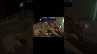 How to tame triceratops in ARK mobile 😶‍🌫️😶‍🌫️😶‍🌫️😶‍🌫️😶‍🌫️ [upl. by Anemaj791]