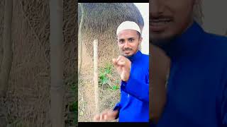 রহমতে আলম নূরে মুজাসসাম । গজল gojol tiktok shorts trending TikTok N Ashrafi Agro [upl. by Ahtebat641]