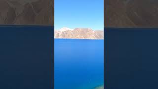 Pangong Lake Tour Info Essential Guide for Leh Ladakh 🌊 LadakhAdventure [upl. by Viridissa]