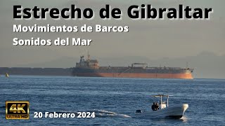 Movimientos de Barcos Estrecho de Gibraltar y Campamento Bahía de Algeciras 20 Feb 2024 [upl. by Aicilak]