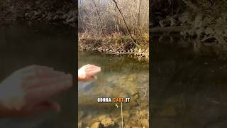 How to catch trout Berkley White Minnow [upl. by Midan]