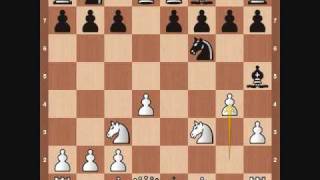 Chess Openings Blackmar Diemer Gambit [upl. by Rodgiva651]