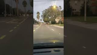 Two powerful motorbikes racing and frightening the living daylights out of hundreds of birds [upl. by Quinta]