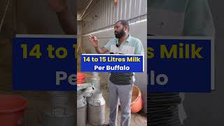 एक महीने की कमाई 2200000 रु😱💰करोड़ों कमाने वाला Dairy farm💯🔥 indianfarmer shorts [upl. by Male792]