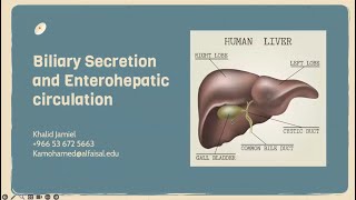 Biliary Secretion and Enterohepatic Circulation  Khalid Jamiel  GIT 113 PAL review session [upl. by Madeline16]