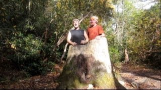 PART 2 Linville Gorge GRAND LOOP with the Hickery Brothers [upl. by Billye]