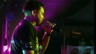 repents en vivo  shaggy full hd palmahia [upl. by Ettelrats]