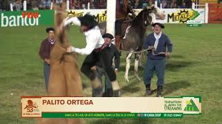 JINETEADA 3  06012018 Festival Nacional de Doma y Folklore de Jesús Maria Edición 53 [upl. by Rivard683]