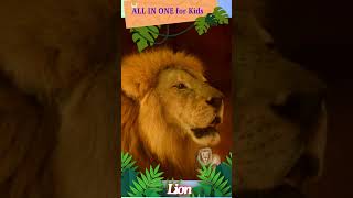 Lion Sound  Animal sounds  Kids Learning lionsound lionsounds learning [upl. by Eah]