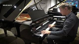 Chopin  Piano Sonata No2  Seiler Concert Grand  PianoWorks [upl. by Esnahc]