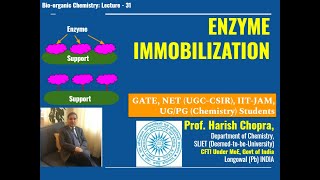 Enzyme Immobilization  Prepare for GATE NET [upl. by Marutani]