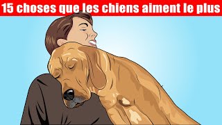 15 choses que les chiens aiment le plus  Incroyablement Top [upl. by Nitas]