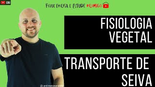 BOTÂNICA  TRANSPORTE DE SEIVA  FUNÇÕES DO XILEMA E FLOEMA [upl. by Aiynat]