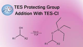 TES Protecting Group Addition With TESCl  Organic Chemistry [upl. by Avaria297]