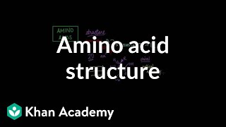 Amino acid structure  Chemical processes  MCAT  Khan Academy [upl. by Greenwood]