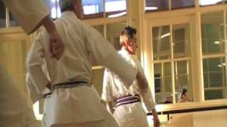 Shotokan Karate Documentary [upl. by Hyacinthe778]