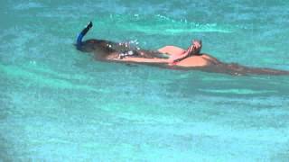 Snorkeling Anguilla Shoal Bay [upl. by Chambers]