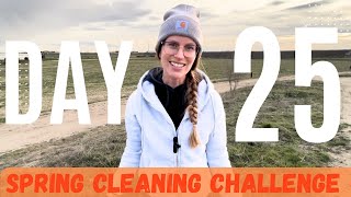 DAY 25  Spring Cleaning CHALLENGE [upl. by Nel]