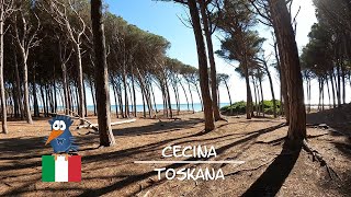 Cecina Toskana  Pinienwald und Strand so weit das Auge reicht  Riserva naturale Tomboli di Cecina [upl. by Dimitry]