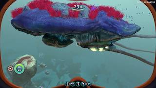 Subnautica  ALL LEVIATHAN CLASS LIFEFORMS [upl. by Vivianna]