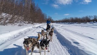 HuskySchlittenfahren in finnisch Lappland Inari [upl. by Ynahirb178]