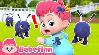 🐜 The Little Tiny Ants ㅣEP138ㅣSong for KidsㅣBebefinn Nursery Rhymes [upl. by Annaujat98]