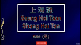 上海滩 【卡拉OK 男】Cantonese《KTV KARAOKE》  Shang Hai Tan Male [upl. by Nodroj]