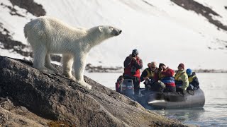 POLAR BEAR CRUISE SpitsbergenSvalbard [upl. by Liederman]