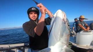 Fishing Baja California  CRAZY YELLOWTAIL FISHING [upl. by Nadine]