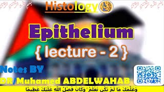 Epithelium  2  Histology  القصر العيني 198 [upl. by Enelyar]