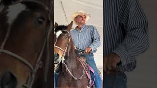 Caballos de Cattlemans April Horse Sale 2024 [upl. by Nyllewell]