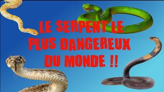 LE SERPENT LE PLUS DANGEREUX RECORD DU MONDE [upl. by Jochbed671]