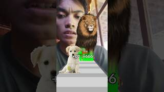 Dog vs Lion dog lion games shorts [upl. by Aneeuqal]