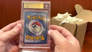 Update on the Journey for a BGS Black Label 10 1999 Pokemon Shadowless Charizard amp Channel Update [upl. by Asirb]