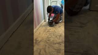 Wood floor demo flooring flooring flooringprestige [upl. by Iztim]